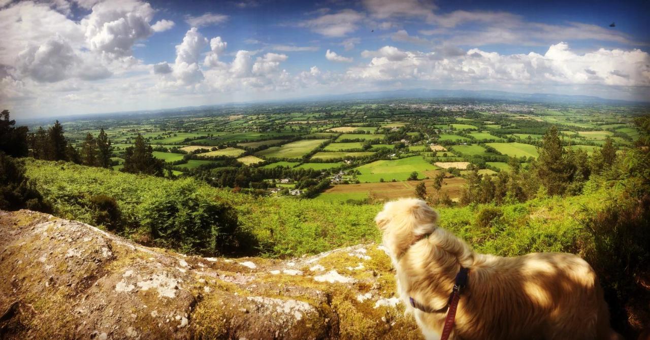 Ballyglass Country House Tipperary Zewnętrze zdjęcie